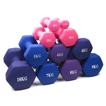 Ladies Weightlifting Dumbbell New Design Bone Shape Portable Fitness Equipment Hexagonal Solid Iron Dumbbell 0.5KG 2 pieces China